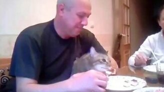 Отдай мою котлету, а то похудею! - смотреть видео (0:19)