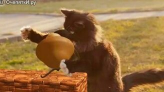 Настоящий кот Марио! - смотреть видео (1:00)