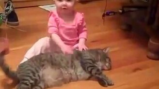 Весёлые дети и терпеливые кошки - смотреть видео (2:20)