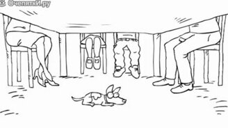 Собака сестры Саймона - смотреть видео (1:37)