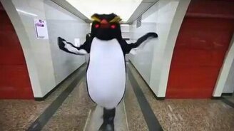 Пингвины в метрополитене - смотреть видео (2:00)