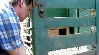 Вот смотри - это нельзя открывать! - смотреть видео (2:25)