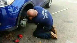 Устроили гнездо в автомобиле - смотреть видео (1:34)