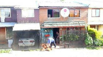 Пёс-помощник по хозяйству - смотреть видео (1:14)