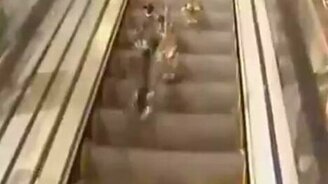 Старательные утки и эскалатор - смотреть видео (0:29)