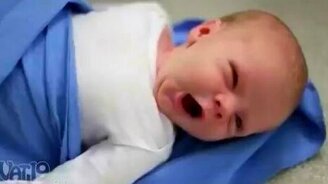 Зевнёт или заорёт? - смотреть видео (0:42)