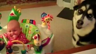 Чтобы малыш перестал рыдать... - смотреть видео (0:28)