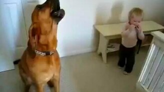 Малыш играет, пёс поёт - смотреть видео (0:25)