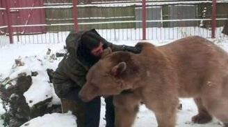 Домашний медведь - смотреть видео (3:21)