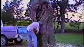 По-глупому спилил дерево - смотреть видео (0:25)