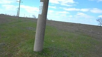 Собачий трюк со столбом - смотреть видео (0:34)