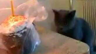 Пасхальный пожарный - смотреть видео (0:14)