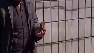 Отличный способ собрать монет - смотреть видео (1:31)