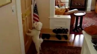 Ярый борец с корреспонденцией - смотреть видео (1:08)