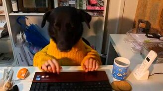 Собака с женскими руками - смотреть видео (1:03)