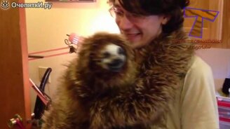 Экзотические домашние питомцы - смотреть видео (3:37)