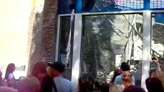 Новосибирская умная обезьяна - смотреть видео (2:00)