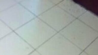 Нашествие муравьев в офисе - смотреть видео (0:55)