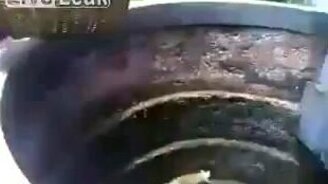 Самостоятельный кот выбирается из колодца - смотреть видео (0:38)