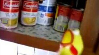 Голодная кура - смотреть видео (1:08)