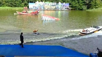 Собака на водных лыжах - смотреть видео (0:13)