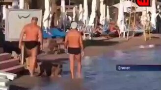 Прибил акулу попой - смотреть видео (0:32)