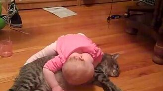 Самый терпеливый кот - смотреть видео (2:51)