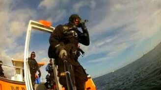 Дружелюбные тюлени - смотреть видео (1:21)