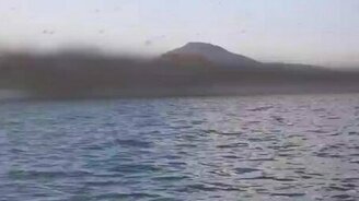 Миграция москитов - смотреть видео (2:22)