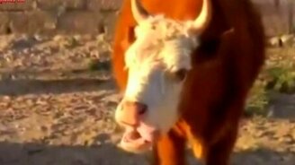 Набор позитива - смотреть видео (5:34)