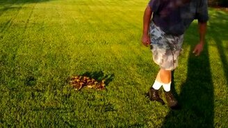 Утята нашли себе папку - смотреть видео (0:30)