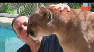 Пума - мой лучший друг - смотреть видео (2:03)