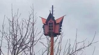 Многоквартирный скворечник - смотреть видео (0:09)