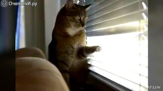 Подборка смешнявок - смотреть видео (4:43)