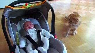 Реакция кота, который первый раз увидел ребёнка - смотреть видео (0:46)