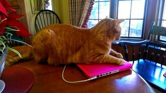 Хватит сидеть за компом! - смотреть видео (0:20)