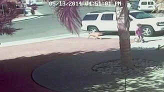 Кот-спаситель - смотреть видео (0:39)