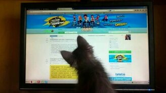 Котёнок против курсора мыши - смотреть видео (0:31)