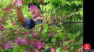 Здесь не какать! - смотреть видео (2:08)