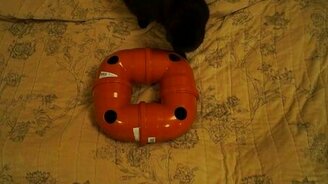 Сделайте игрушку своей кошке! - смотреть видео (2:21)