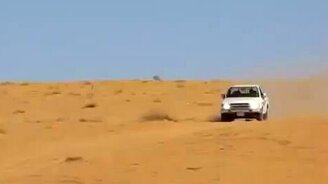 Пикап покоряет песчаный бархан - смотреть видео (0:39)