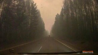 Как горит лес - смотреть видео (3:00)