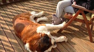 Гладь меня, не останавливайся! - смотреть видео (1:28)