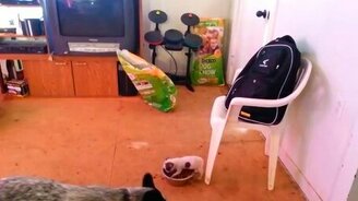 Адски жадный малыш - смотреть видео (1:43)