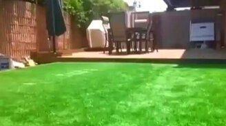 Зимой газон, летом бассейн - смотреть видео (0:28)