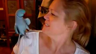 Хозяйка общается со своим попугаем - смотреть видео (2:31)