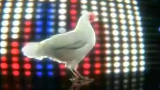 Куриное техно - смотреть видео (1:50)