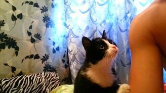 Ну погладь же меня! - смотреть видео (0:24)