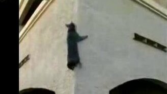 Паркур по-кошачьи - смотреть видео (2:08)