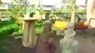 Когда хозяин - инженер... - смотреть видео (1:04)